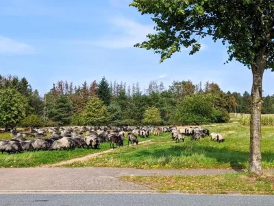 Apartment Ferienwohnung für vier Personen - Outdoor photo 26