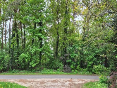 Apartment Ferienhaus fuer 10 Personen, Schneverdingen - Environment photo 37