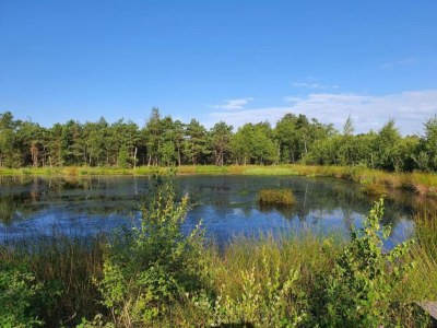 Apartment Ferienhaus fuer 10 Personen, Schneverdingen - Environment photo 39