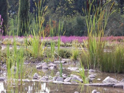 Apartment Ferienhaus fuer 10 Personen, Schneverdingen - Environment photo 41