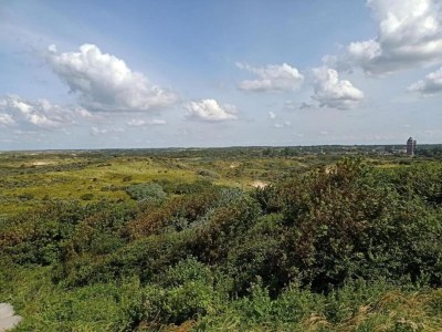 Apartment Apartment in Den Haag with Balcony - Environment photo 28