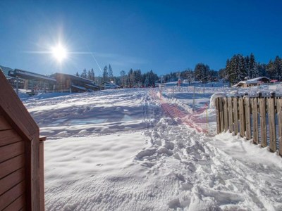 Apartment Apartment in Morillon near Ski Slopes - Environment photo 28