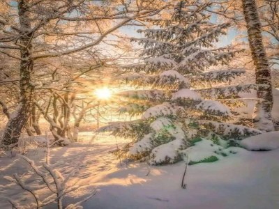 Apartment Studio in Morillon near Ski Slopes & Lac Bleu - Environment photo 14