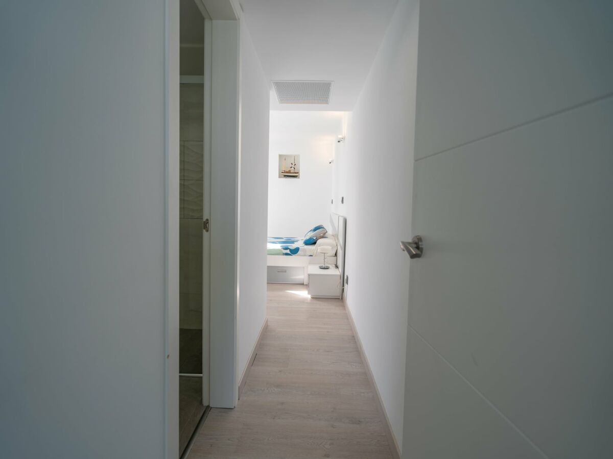 Villa Tampa Bay V3C1 mit privatem Pool - Features photo 5