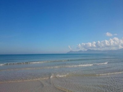 Villa Tampa Bay V3C1 mit privatem Pool - Environment photo 32