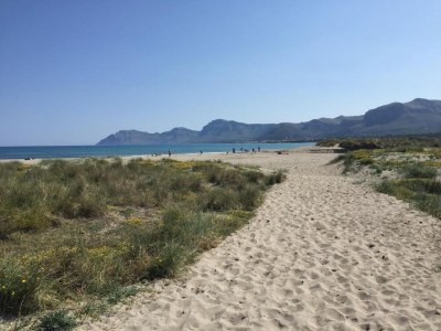 Villa Domus Genti Holiday Home with Pool - Environment photo 36