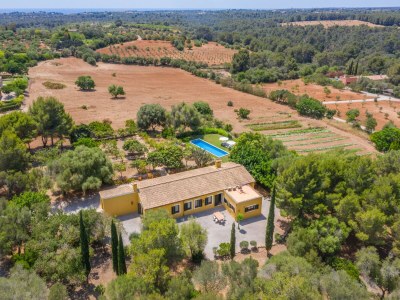 Holiday house Atemberaubende Ses Cases in Manacor - Environment photo 30