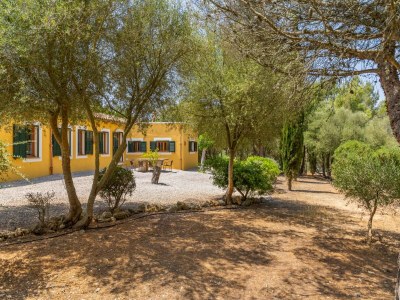 Holiday house Atemberaubende Ses Cases in Manacor - Environment photo 31