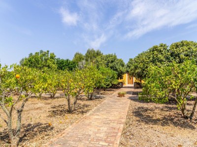 Holiday house Atemberaubende Ses Cases in Manacor - Environment photo 33