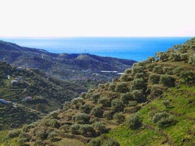 Holiday house Cortijo Ariza - Elegant Estate with Pool - Features photo 3