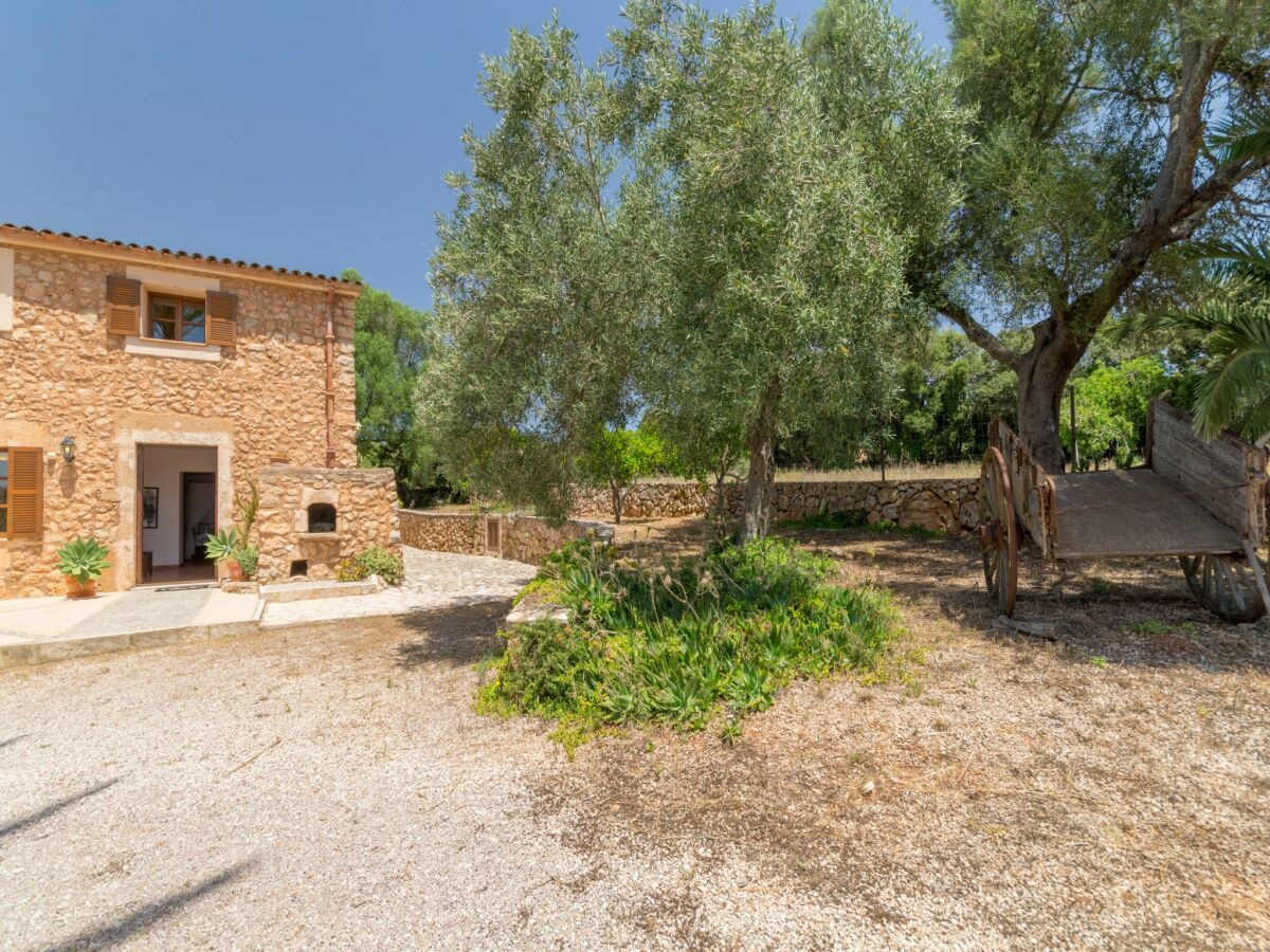 Villa Can Revell villa with Pool & Jacuzzi - Outdoor photo 4