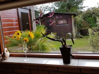 Holiday house Noordzeepark Ouddorp Deltageul - Outdoor photo 6