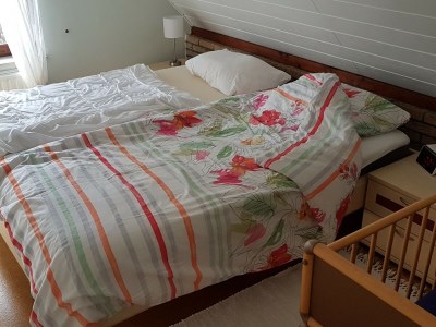 Holiday house Noordzeepark Ouddorp Deltageul - Features photo 12