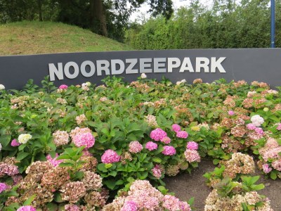 Holiday house Noordzeepark Ouddorp Deltageul - Environment photo 17