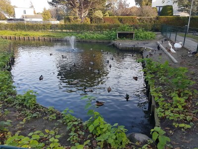 Holiday house Noordzeepark Ouddorp Deltageul - Environment photo 18