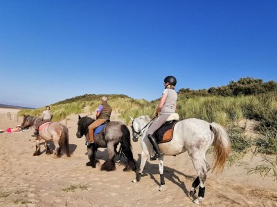 Holiday house Noordzeepark Ouddorp Deltageul - Environment photo 30