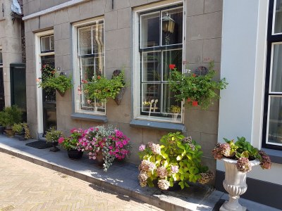 Holiday house Noordzeepark Ouddorp Deltageul - Environment photo 35