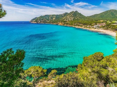 Holiday house Country House, Pla Den Cosset - Environment photo 41