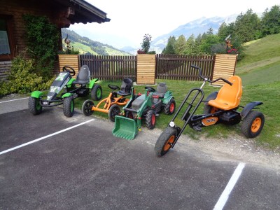 Holiday apartment Almrausch Holiday Apartment - Haus Burgl - Outdoor photo 7