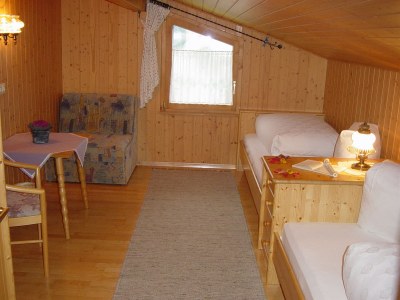 Holiday apartment Almrausch Holiday Apartment - Haus Burgl - Features photo 16