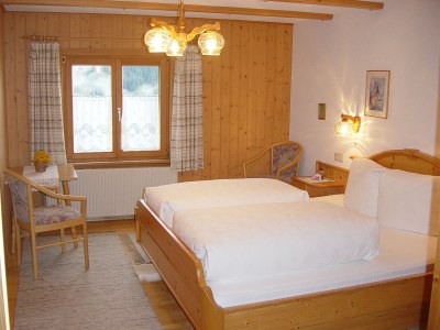 Holiday apartment Almrausch Holiday Apartment - Haus Burgl - Features photo 17