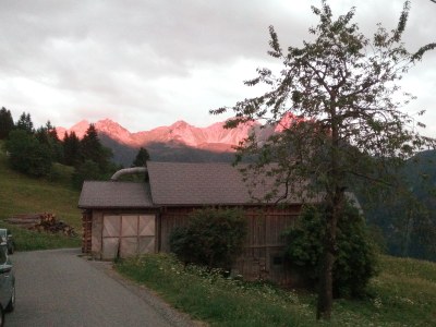 Holiday apartment Almrausch Holiday Apartment - Haus Burgl - Environment photo 22