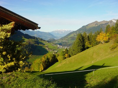 Holiday apartment Almrausch Holiday Apartment - Haus Burgl - Environment photo 23