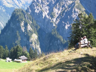 Holiday apartment Almrausch Holiday Apartment - Haus Burgl - Environment photo 25