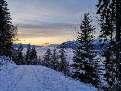 Holiday apartment Almrausch Holiday Apartment - Haus Burgl - Environment photo 32