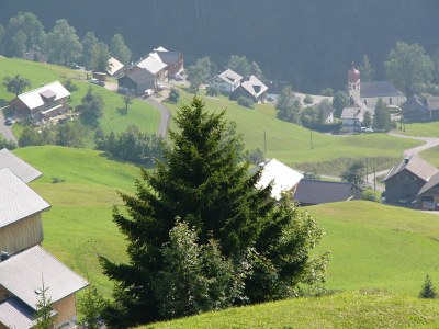 Holiday apartment EdelweiÃŸ Apartment - Haus Burgl - Environment photo 19