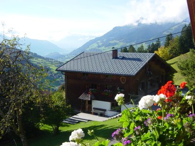 Holiday apartment EdelweiÃŸ Apartment - Haus Burgl - Environment photo 20