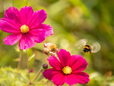 Holiday house De Dijkwachter - Outdoor photo 15