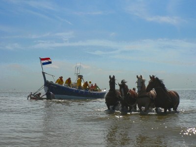 Holiday house De Dijkwachter - Environment photo 29