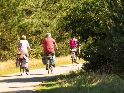 Holiday house De Dijkwachter - Environment photo 33