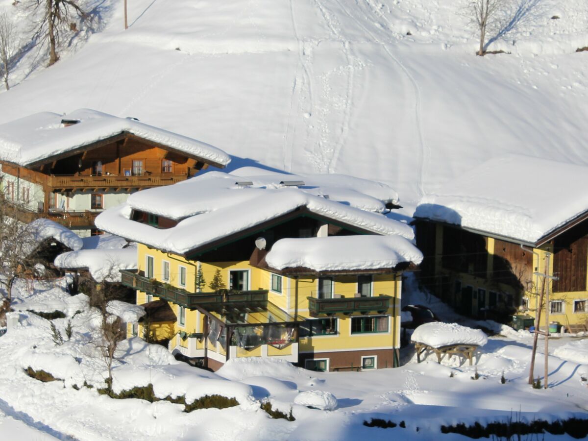 Holiday apartment Bauernhof Schattaugut - Outdoor photo 3