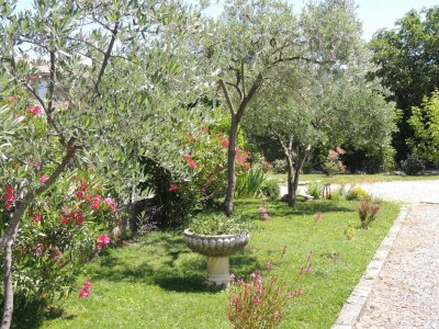 Holiday house House in Vaison La Romaine with Heated Pool - Outdoor photo 8