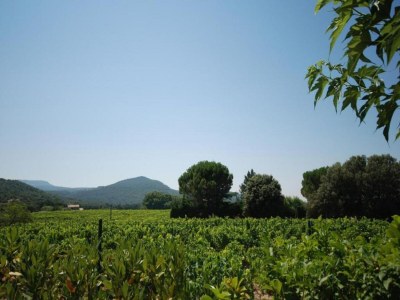 Holiday house House in Vaison La Romaine with Heated Pool - Environment photo 34