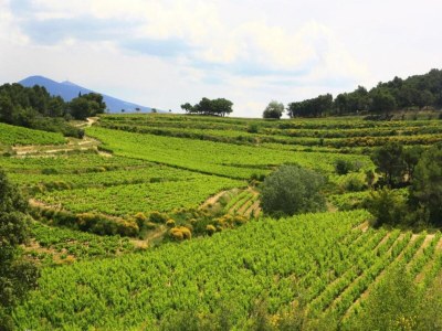Holiday house Villa in Vaison nahe römischen Ruinen & Pool - Environment photo 37