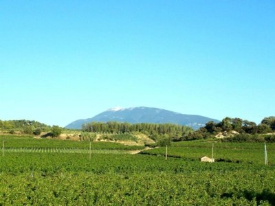 Holiday house Villa in Vaison nahe römischen Ruinen & Pool - Environment photo 38