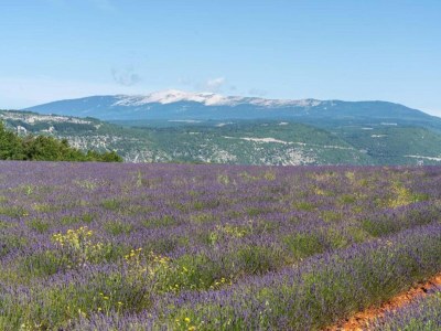 Holiday house Villa in Vaison nahe römischen Ruinen & Pool - Environment photo 40