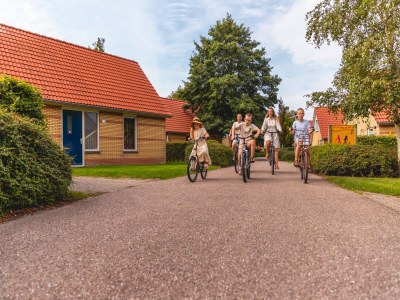 Holiday park Ferienhaus in NL nahe malerischen Parks - Outdoor photo 11