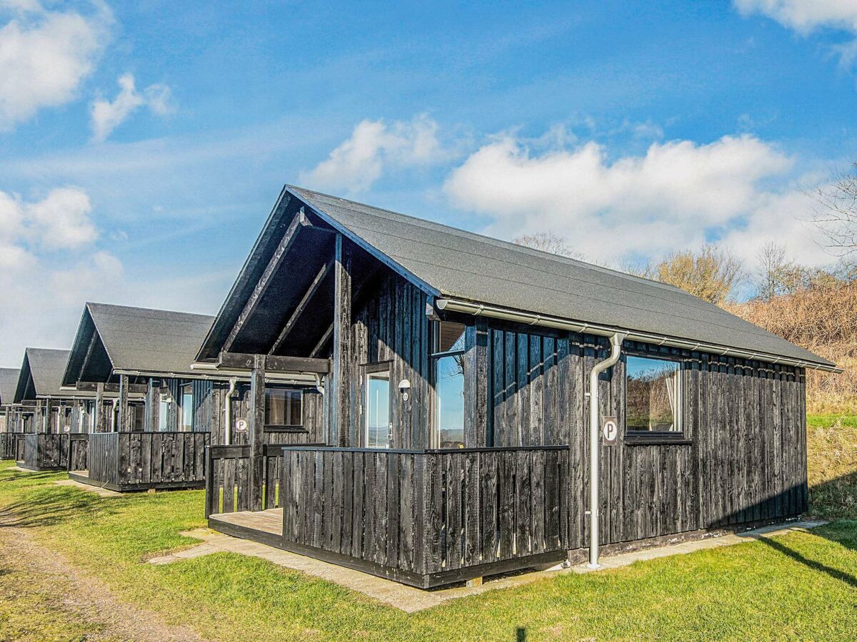 Holiday park 5 Personen Ferienpark haus in Rønde