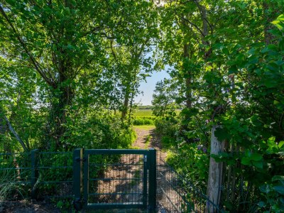 Holiday house Bungalow in Netherlands near Sandy Beach - Environment photo 24