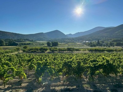 Villa Villa in Malaucène with Private Pool - Environment photo 24