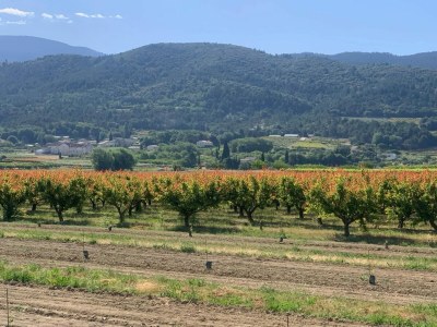 Villa Villa in Malaucène with Private Pool - Environment photo 25