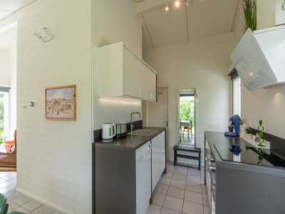 Holiday house Ferienhaus nahe Petten Strand mit Pool - Features photo 6