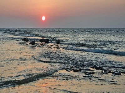 Holiday park Villa nahe Strand mit Garten - Environment photo 14