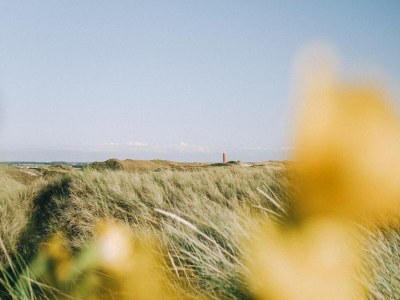 Holiday park Villa nahe Strand mit Garten - Environment photo 16