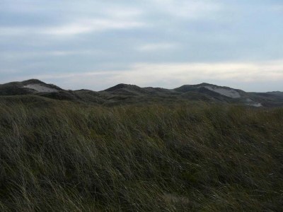 Holiday park Villa nahe Strand mit Garten - Environment photo 35