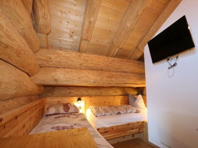 Holiday house Hütte in Wildkogel direkt an der Skipiste - Features photo 25